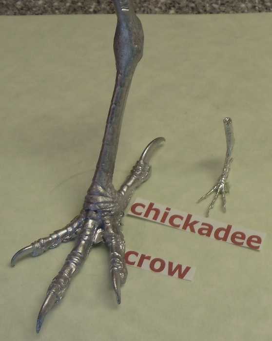 2 Imitation Eagle Claw Talon Cast Resin Bird Of Pray Foot Leg Bone Toe Feet 